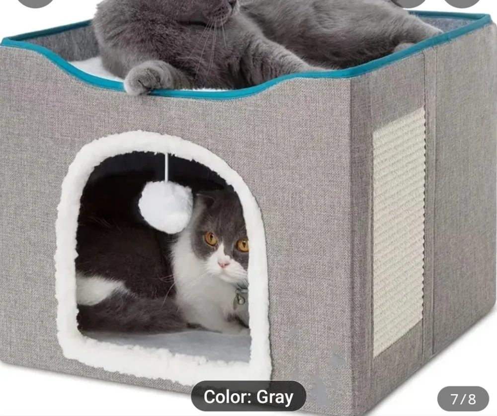 Unlisted cozy small
